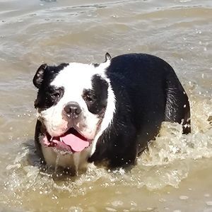 Meet your Posher, Clayton